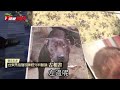 比特犬咬碎1歲童頭骨　醫花3小時拼出頭顱 台灣蘋果日報