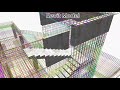 Revit structure Rebar Model