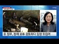 日 사도 광산 세계유산 추천 강행...강경파 압박에 급선회 ytn