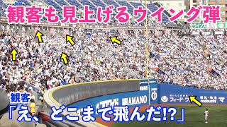 ライトスタンドの観客も見上げる驚愕のウイング弾！東海大相模金本選手の特大同点本塁打にどよめくハマスタ！高校野球 神奈川大会 決勝 横浜vs東海大相模