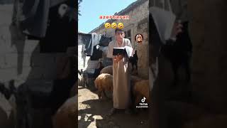Երբ ոչխարներին ուսանում են , Ադրբեջան 😂😂