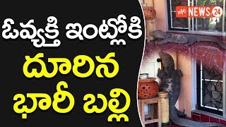 ఆ వ్యక్తి ఇంటి లో భారీ బల్లి  This Monster Lizard At The Door Is Absolutely Terrifying | YOYO NEWS24