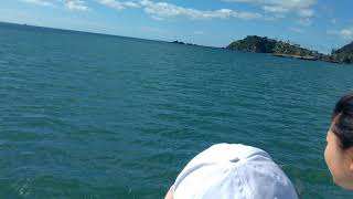 SUS - Paihia