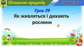 Пізнаємо природу. Урок 39. Як живляться і дихають рослини