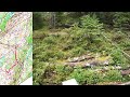 orienteering veteranmesterskap viken