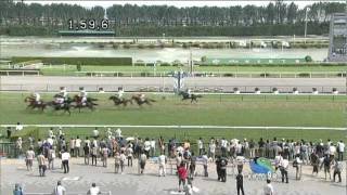 エクスペディション　木屋町特別(500万下)　2011/07/17