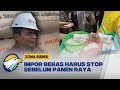 Bulog Pastikan Impor Beras akan Berhenti Sebelum Panen Raya di Maret 2023