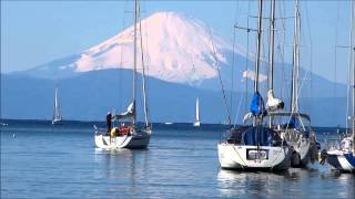 美しい三浦 油壷京急マリーナ