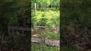 Mysterious Graves Next To Road In The Woods.. #grave #cemetery #shorts #share #rip