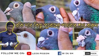 রকি দার কিছু পুরোনো পায়রার শখ করুন || @LEOSPIGEON