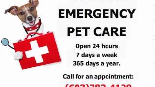 24 Hour Emergency Vet Care Concord NH - (603) 782-4129