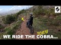 How to ride the COBRA... and more!