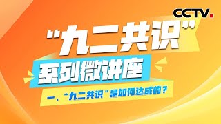 《“九二共识”系列微讲座》第一集：“九二共识”是如何达成的？| CCTV