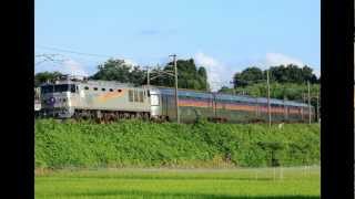 【東北本線】EF510-509 / 8010列車・2012/08/08