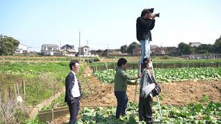 Hennery Farm    farm to happy PV ...making