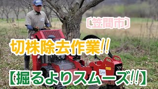 【茨城県】【笠間市】【栗畑】【切株除去作業】【草刈がスムーズ】【田畑】【空き家】【空き地】