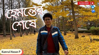 হেমন্তের শেষে ঝরে যাওয়া পাতা | Yamagata | Japan