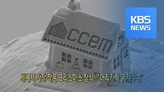 [클릭@지구촌] 세계서 가장 작은 크리스마스 장식…“머리카락 굵기 수준” / KBS뉴스(News)