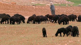 Why the Shift to Farming Ruined This Ancient City's Health