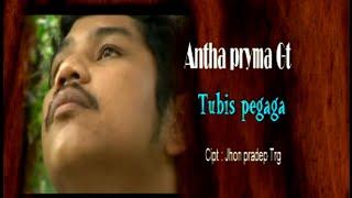 Antha Pryma Ginting - Tubis Pegaga ( Official Music Video )