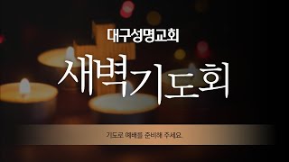 새벽기도회(암 5:18-27) 심현진 목사 | 2024.12.10(화)