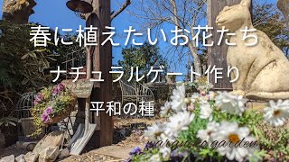 春に植えたいお花たち/ナチュラルゲート作り/平和の種/Flowers you want to plant in spring