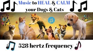 Healing dogs & cats with sound music frequency
