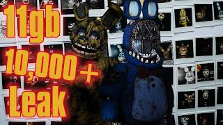 Is this FNAF's Biggest Leak!?