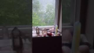 My crystals on my window sill during a rainstorm!