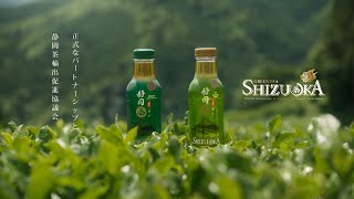 Shizuoka Green Tea : The Origin