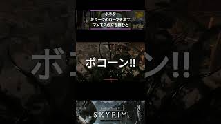 【Skyrim】小ネタ　ミラークのローブを着てマンモスの牙を踏むと #skyrim ＃short