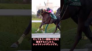 フェブラリーS、僕が気になる馬を徹底解説！#フェブラリーs #フェブラリーステークス #競馬予想