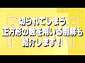 【中学受験】開智・開智所沢中 算数 2025年度 解説の実況中継