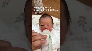 ミルク飲む赤ちゃん #赤ちゃん #新生児 #baby #babygirl #赤ちゃんyoutuber #赤ちゃんのいる暮らし #newborn #帝王切開 #低体重児#shorts