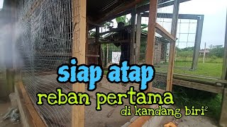 [Episod1353] mungkin ada penghuni baru. pak long selesaikan dulu reban 1 di kandang biri².