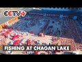 Ice Fishing Teams at Chagan Lake Harvest More Than 450,000 Kg Fish in 11 Days