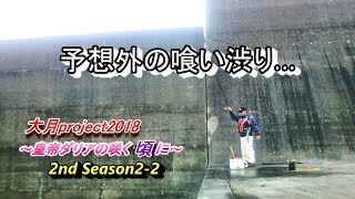 【高知の波止でフカセ釣り】幡多郡大月町の旅 2-2 喰い渋りの状況で…専務なんとか魚種を追加！＆バラシもあるよ☆ 皇帝ダリアの咲く頃に 2nd season 第二部【大月project2018】