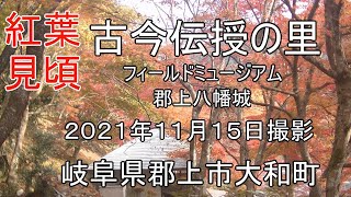 紅葉　古今伝授の里フィールドミュージアム　岐阜県郡上市 　還暦夫婦ナオユミのハイキングへ行こう