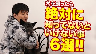 犬を飼ったら絶対に知らないといけない事6選！