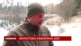 Нерестовий період на Житомирщині: де рибалити заборонено та які штрафи загрожують порушникам