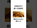 【雑学】9割の人が知らない面白い雑学 雑学 面白い雑学 笑える雑学 為になる雑学 豆知識　 聞き流し　 聴き流し 9割の人が知らない雑学 9割の人が知らない面白い雑学