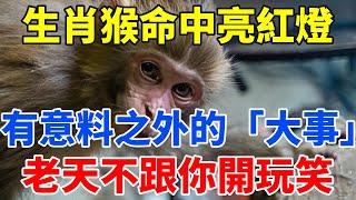 生肖猴注意了！未來一周，命中亮紅燈，有意料之外的「大事」，老天不跟你開玩笑！【佛語禪音】#生肖 #命理 #運勢 #屬相 #風水