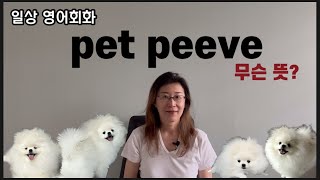 [영어회화] pet peeve 무슨 뜻일까요?