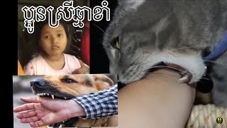 ប្អូនស្រីម្នាក់ត្រូវឆ្មាខាំហើយក៏ក្លាយជាជំងឺ ឆ្កែឆ្កួត ពេលនេះប្អូនបានបាត់បង់ជីវិតហើយ