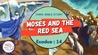 Moses and the Red Sea | மோசே மற்றும் செங்கடல் | Exodus 14 | Tamil Bible Story | DGT