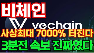 [비체인] 사상최대 7000% 터진다 3분전 속보 진짜였다! #비체인호재 #비체인목표가 #비체인대응 #비체인 #비체인코인