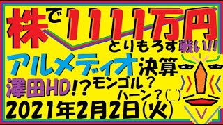 【株】アルメディオ決算発表!!澤田HD!?モンゴル？ハーン？('_') CEHD＆シンバイオ