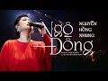 Ngô Đồng (Live Version) - NGUYỄN HỒNG NHUNG | Sáng tác: JANG NGUYỄN