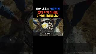 건강 영양 계란 식습관 백세시대 장수 황금 설명서