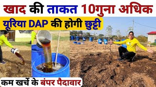 यूरिया DAP की होगी छुट्टी🤑 खाद की ताकत 10 गुना बढाएं | organic highpower fertilizer | humic acid npk